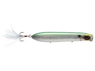 Emerald Shiner