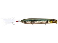 Ghost Threadfin Shad
