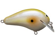 GF Shad