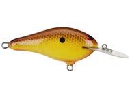 Clearance Shallow Diving Crankbaits