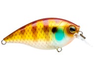 Natural Bluegill