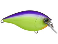 Purple Back Chartreuse 