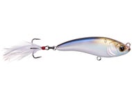 4K Shad