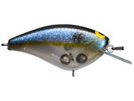 Ghost AR Shad