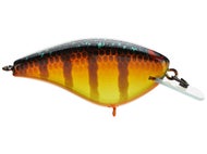 Gold Gill