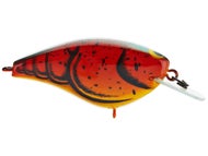 Molt Craw