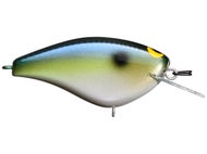 SK Shad