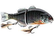 RT Spawn Gill