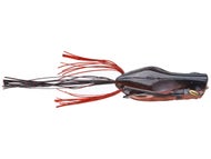 Red Frog