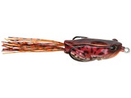 Red Frog