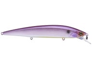 Burgundy Shad