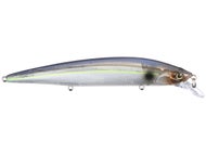 SG Threadfin
