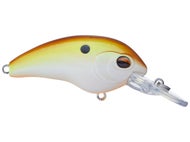 Rootbeer Shad