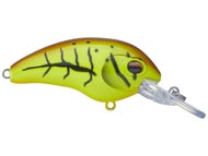 Spring Craw