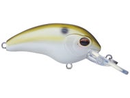 Tennessee Shad