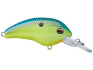 Tropical Shad