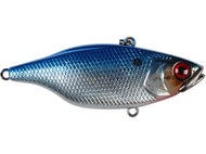HL Blueback Chrome