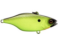 Black Chartreuse