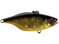HL Black & Gold