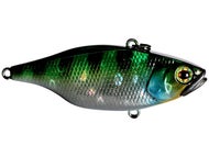 HL Sunfish