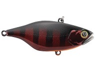 Marroon Gill