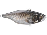 RT Scale Minnow