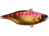 Spawn Tiger