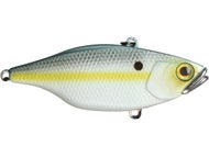 SS SHAD