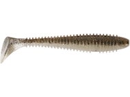 Gold Flash Minnow