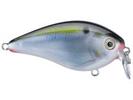 Natural Shad