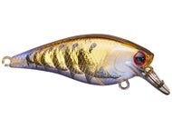 Leurre Lucky Craft Fat CB BDS 1 Spring Craw – Crankbait Pour Black Bass – Rare Édition Limitée – Neuf