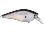 Leurre Lucky Craft Fat CB BDS 3 Pro Tune – Chartreuse Shad, 1/2 Oz, Crankbait