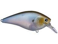 Esche Lucky Craft 2 Esche Da Pesca Lucky Craft Fat CB BDS4F - Galleggianti, 3 Pollici, Colore Chartreuse/nero, Made In Japan Minnow Galleggiante Chartreuse Nero