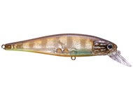 Flake Flake Striped Gill