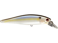Pearl Threadfin