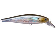 MS Ghost Minnow