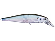 Silver Cheek Ghost Minnow