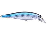 Zebra Aurora Black