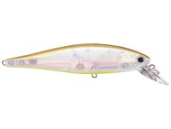 Golden Ghost Minnow