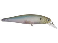 NC Ghost Minnow
