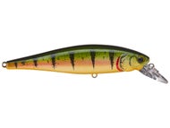 Northern Yellow Perch