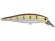 Northern Sucker
