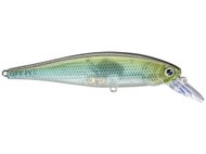 Clear Lake Hitch