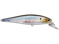 Ghost Minnow