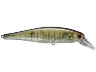 Smallmouth
