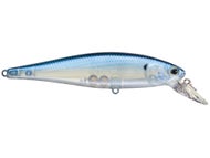 Ghost Blue Shad