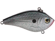 Clearance Lipless Crankbaits