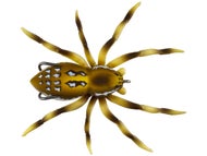 Six Spot