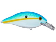 Citrus Shad