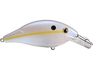 Sexy Shad